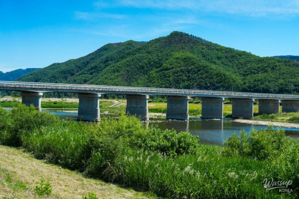 Exploring the Beauty of Gilan Stream Ecological Park in June_01