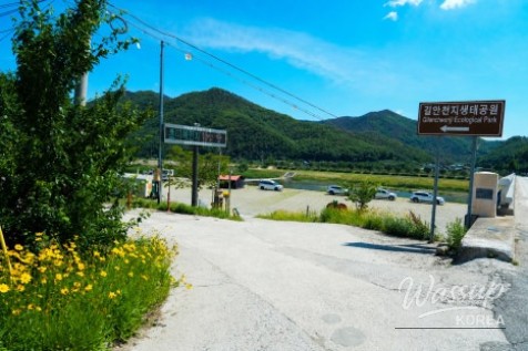 Exploring the Beauty of Gilan Stream Ecological Park in June_03