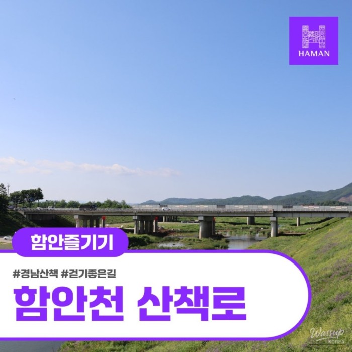 Exploring the Beauty of Hamanchun2091