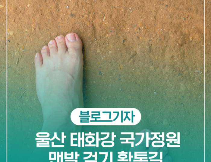 Experience Nature and Wellness at Taehwa River National Garden float