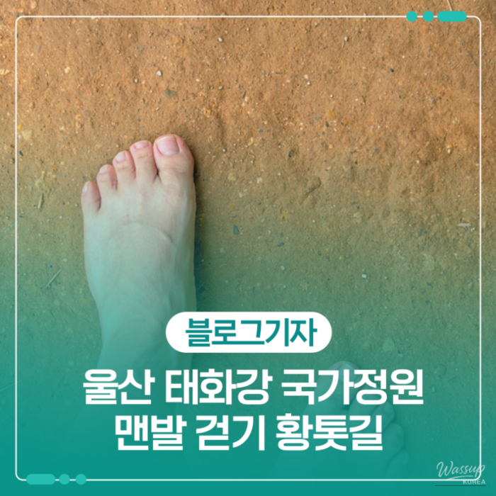 Experience Nature and Wellness at Taehwa River National Garden2088