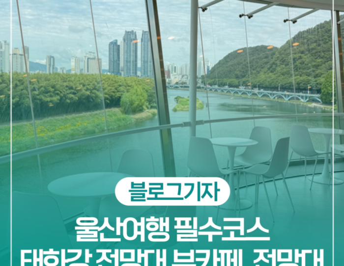 Discovering the Taehwa River: A Must-Visit Spot in Ulsan float