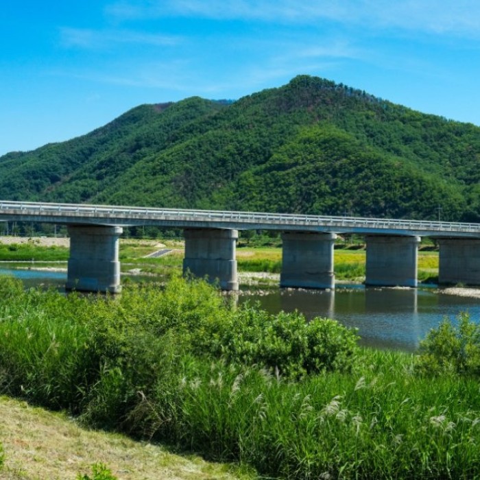 Exploring the Beauty of Gilan Stream Ecological Park in June2097