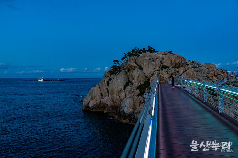 Exploring the Romantic Night Views of Daewangam Park in Ulsan_10