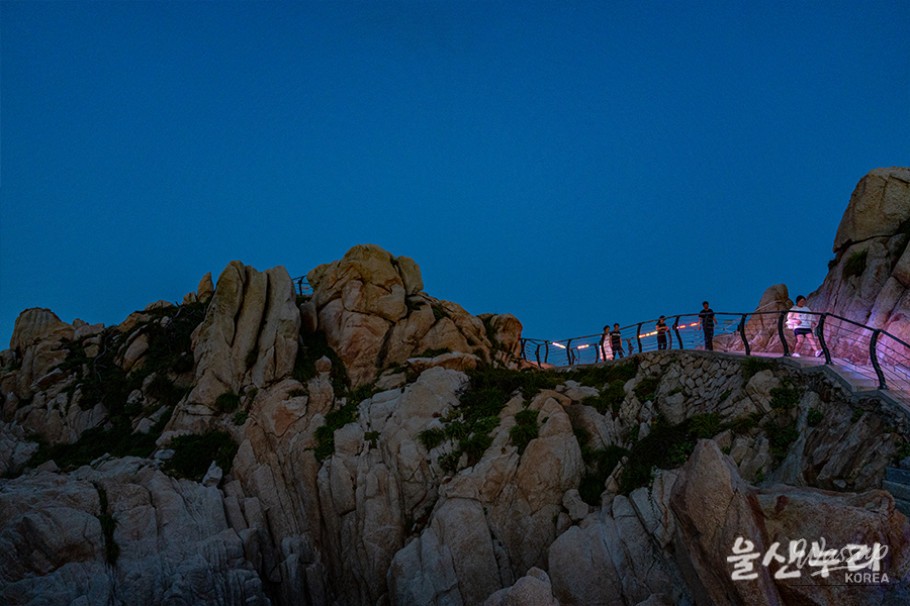 Exploring the Romantic Night Views of Daewangam Park in Ulsan_12