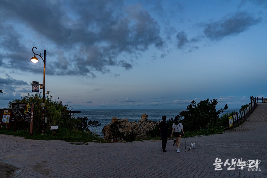 Exploring the Romantic Night Views of Daewangam Park in Ulsan_04