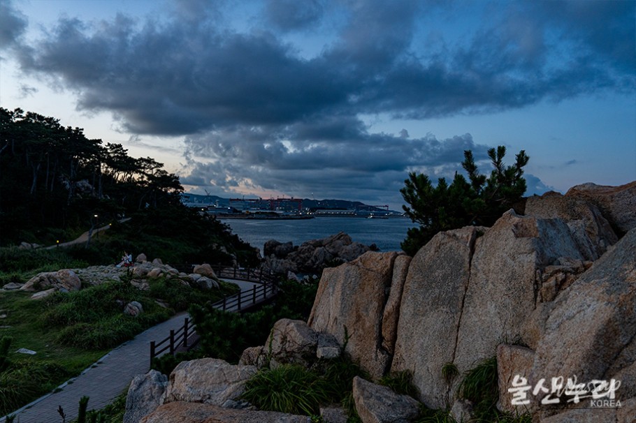 Exploring the Romantic Night Views of Daewangam Park in Ulsan_07