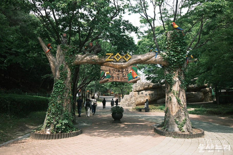Exploring Ulsan Grand Park Zoo_03