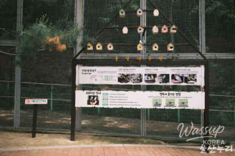 Exploring Ulsan Grand Park Zoo_14
