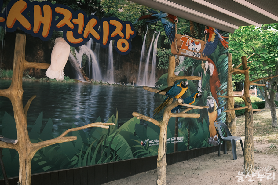 Exploring Ulsan Grand Park Zoo_08