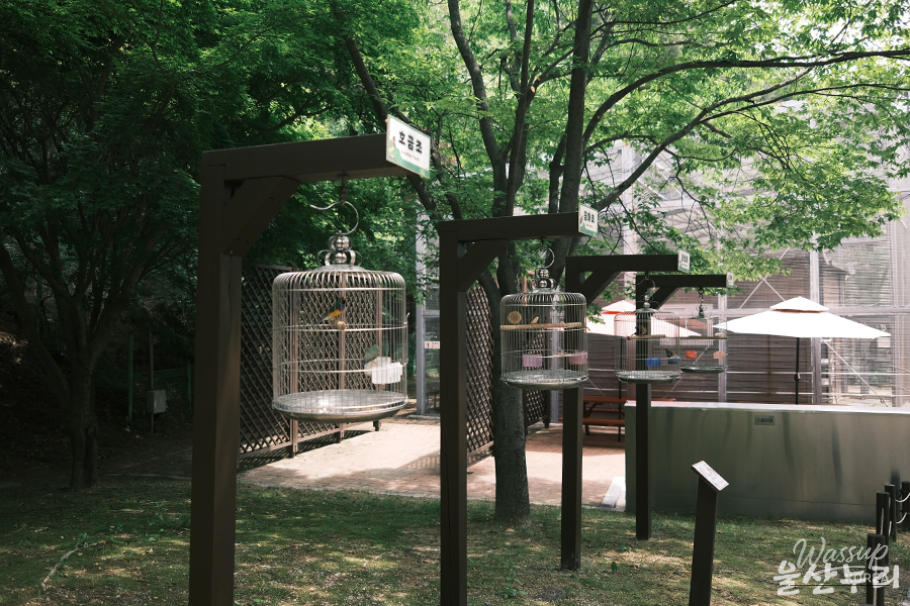 Exploring Ulsan Grand Park Zoo_15