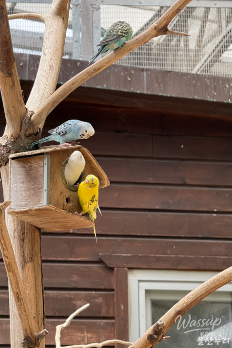 Exploring Ulsan Grand Park Zoo_12