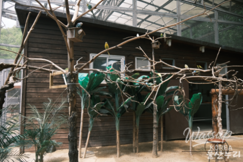 Exploring Ulsan Grand Park Zoo_13
