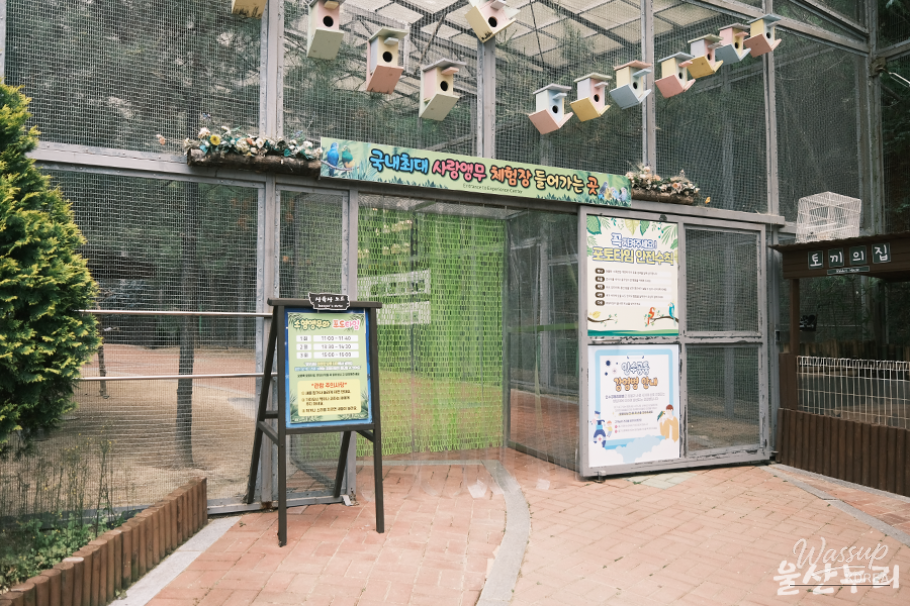 Exploring Ulsan Grand Park Zoo_09
