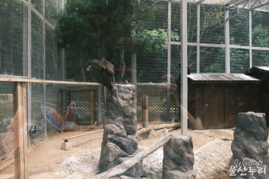 Exploring Ulsan Grand Park Zoo_06