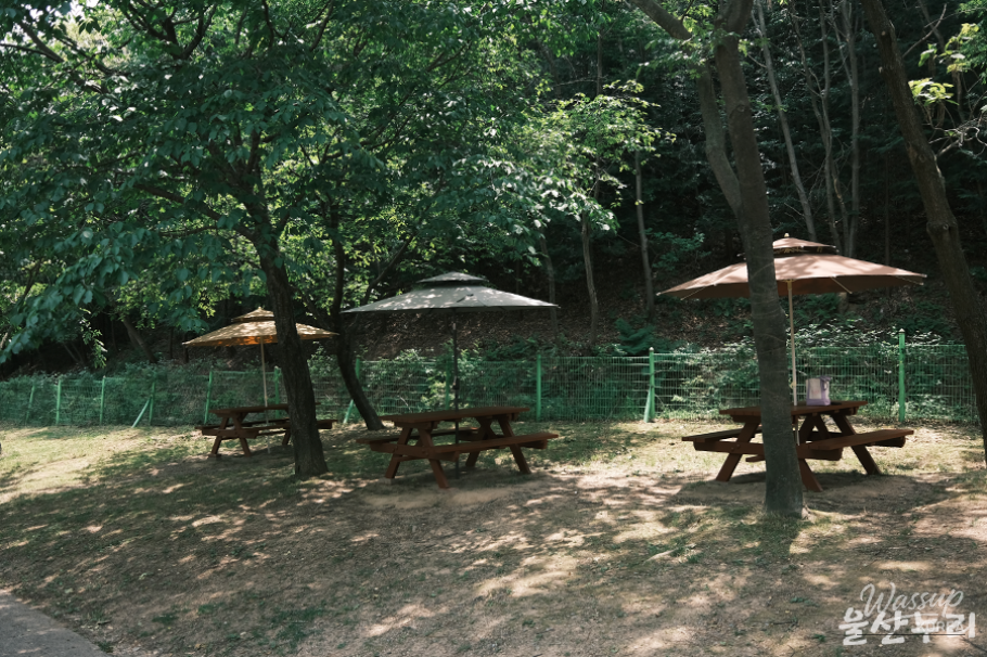 Exploring Ulsan Grand Park Zoo_21