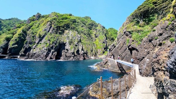 Exploring the Natural Wonders of Ulleungdo Island_02