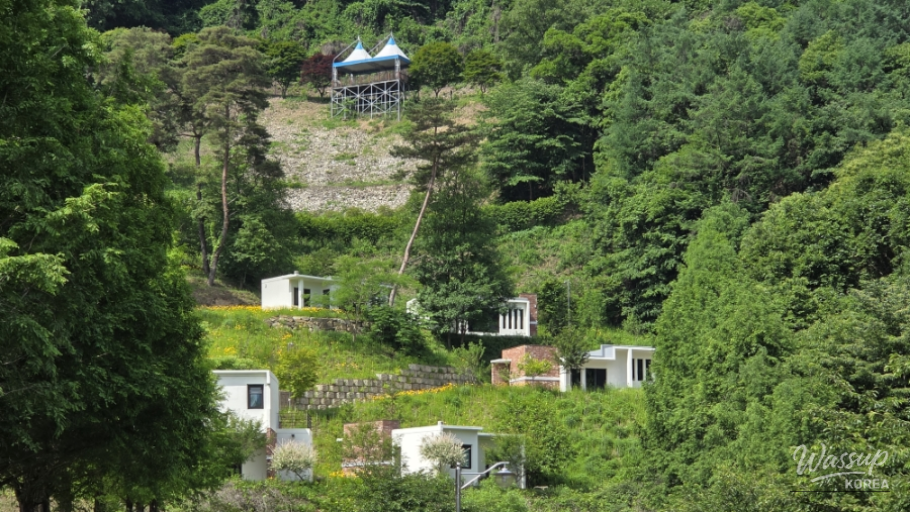 A Sneak Peek into Cheongju Miwon Starry Nature Recreation Forest Before Its Official Opening in July_03