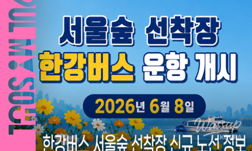 Explore the Han River Bus: A Unique Cultural Experience_03