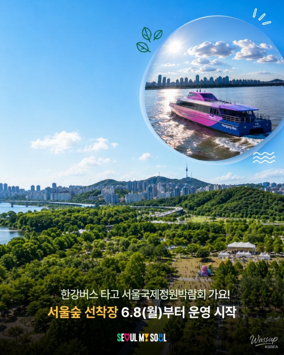 Explore the Han River Bus: A Unique Cultural Experience_02
