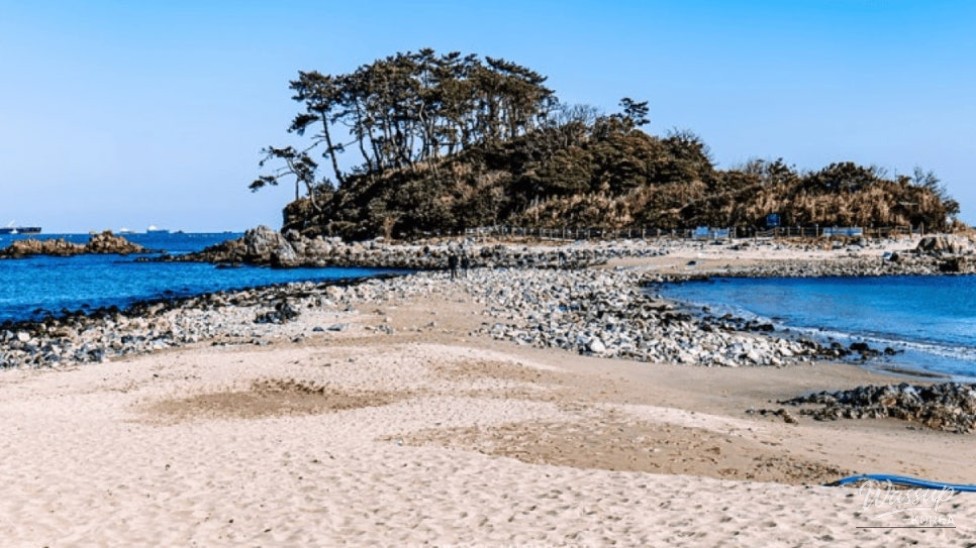 Discover Ulsan's Hidden Gem: Jinha Beach_03