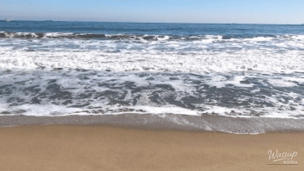 Discover Ulsan's Hidden Gem: Jinha Beach_01