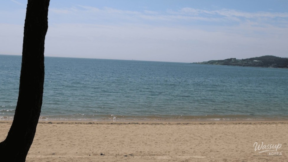 Discover Ulsan's Hidden Gem: Jinha Beach_05