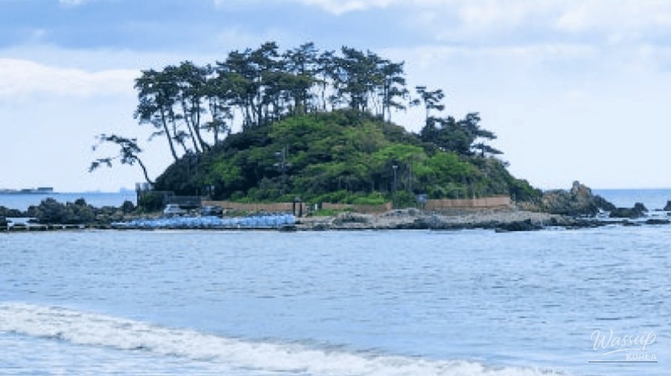 Discover Ulsan's Hidden Gem: Jinha Beach_04