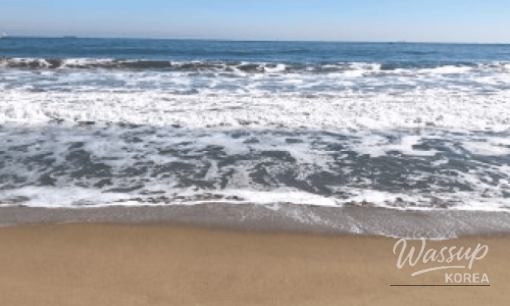 Discover Ulsan's Hidden Gem: Jinha Beach_10
