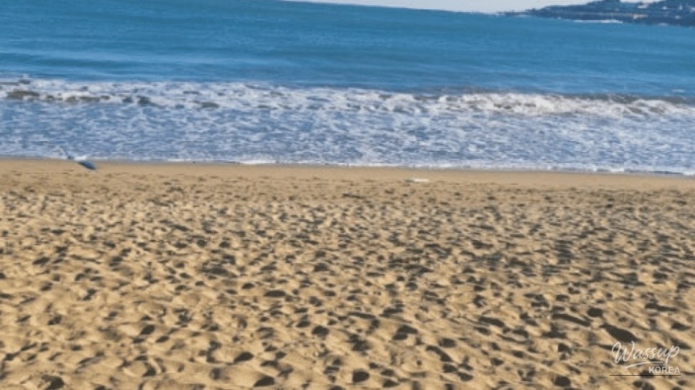 Discover Ulsan's Hidden Gem: Jinha Beach_02