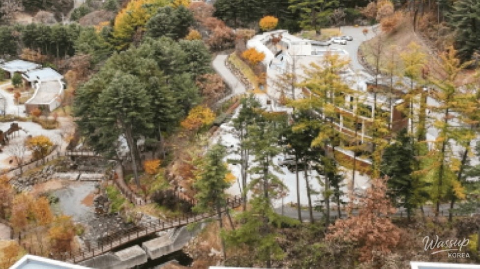 Discover the Healing Retreat of Dongducheon Natural Recreation Forest_05