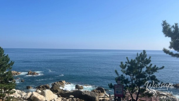 Explore Korea's Stunning Coastal Trails This Summer_02