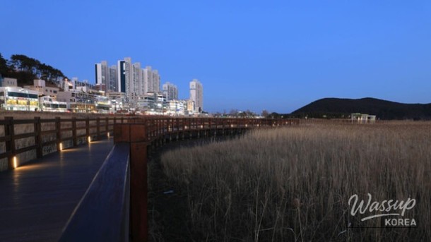 Exploring Busan: The Perfect Family Vacation Destination_05