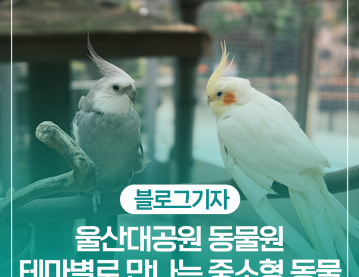 Exploring Ulsan Grand Park Zoo float