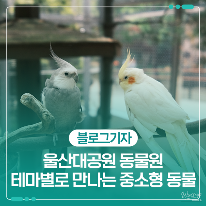 Exploring Ulsan Grand Park Zoo2103