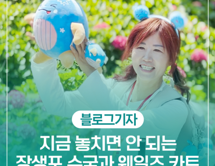 A Day Trip to Jangsaengpo: Where Culture, Art, Memories, and the Sea Meet float