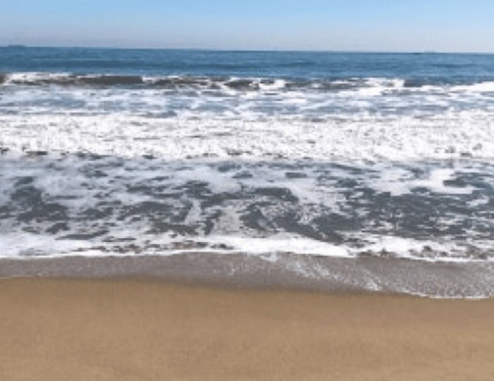 Discover Ulsan's Hidden Gem: Jinha Beach float