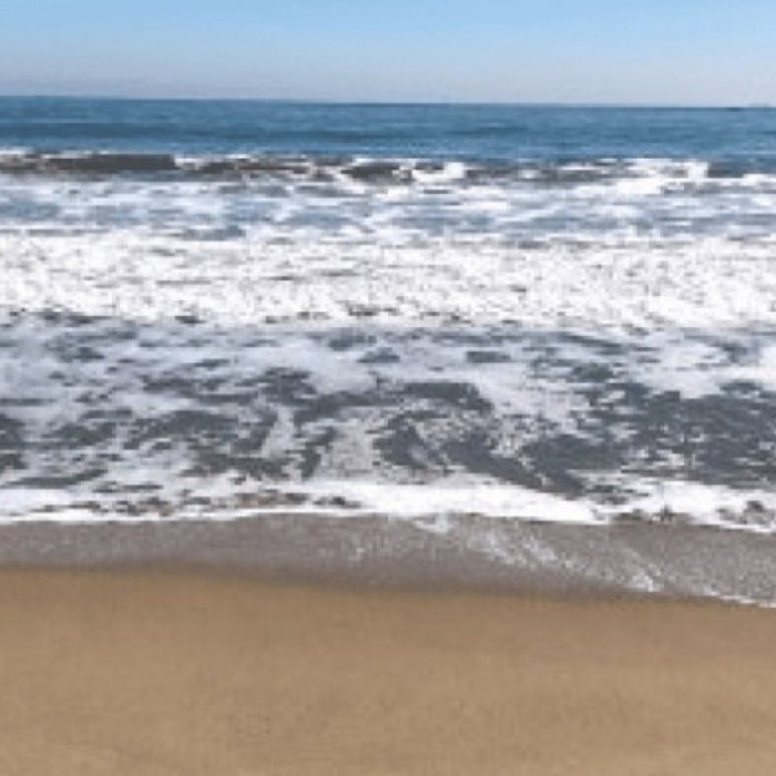 Discover Ulsan's Hidden Gem: Jinha Beach4435