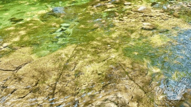 Discovering the Serenity of Baegun Valley: A Perfect Summer Getaway_04