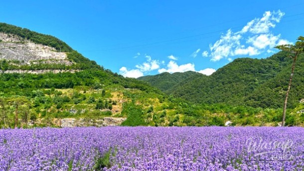 Discover the Enchanting Murungbyeoryucheonji in June_02