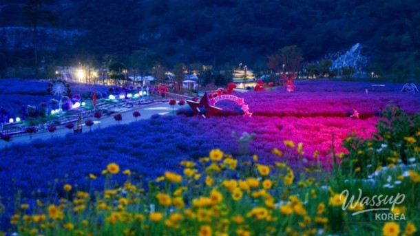 Discover the Enchanting Murungbyeoryucheonji in June_01