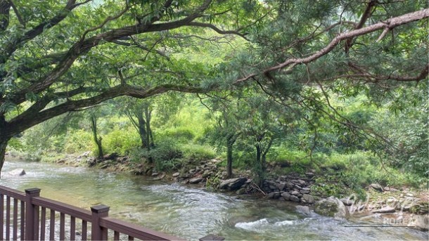 Discovering the Serenity of Gapyeong Hwayasan_01