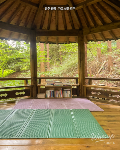 Discover the Tranquil Cedar Forest in Gyeongju_05