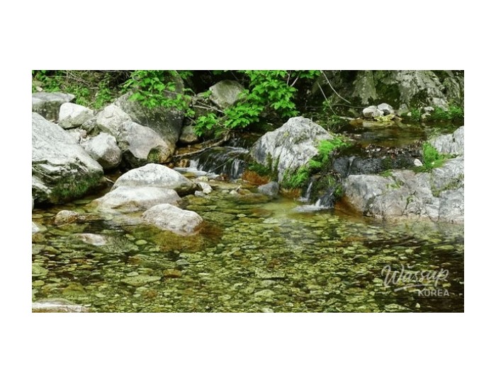 Discovering the Serenity of Baegun Valley: A Perfect Summer Getaway float