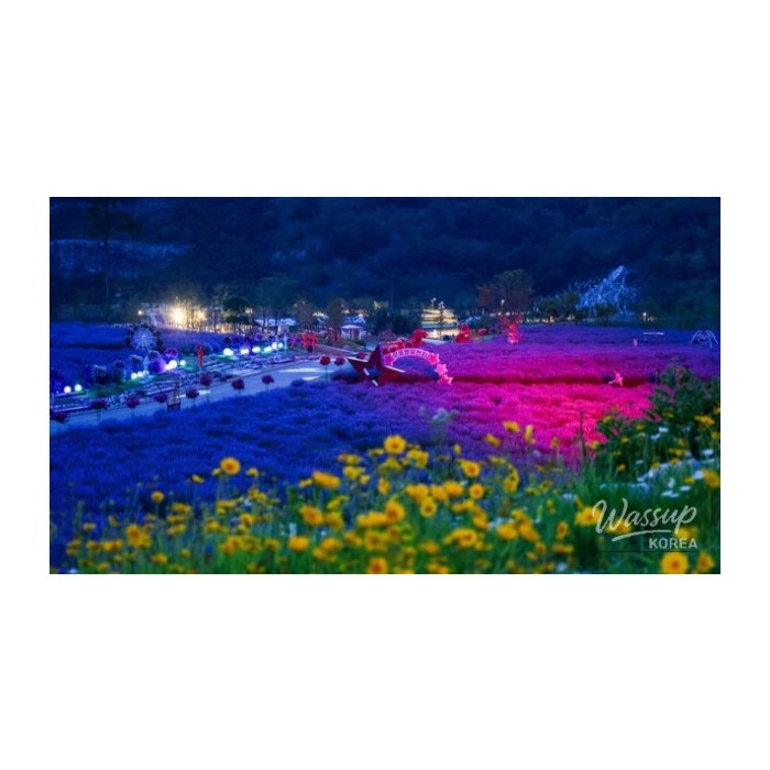 Discover the Enchanting Murungbyeoryucheonji in June4448