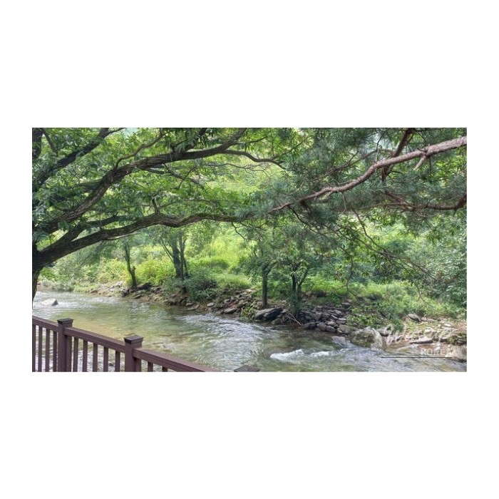 Discovering the Serenity of Gapyeong Hwayasan4447