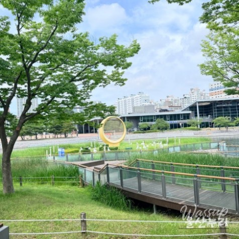 Exploring Ulsan Grand Park with Ulsan Carriage_09