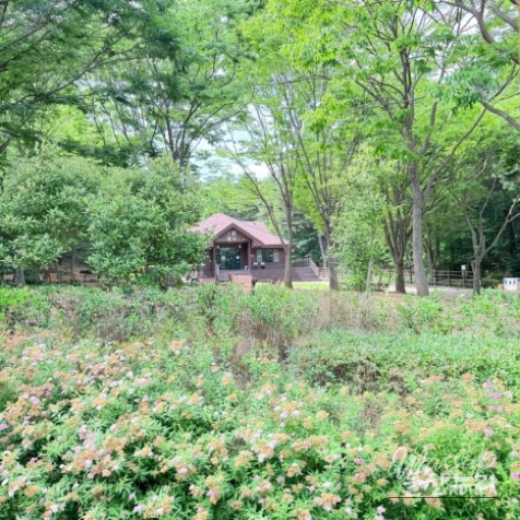 Exploring Ulsan Grand Park with Ulsan Carriage_13