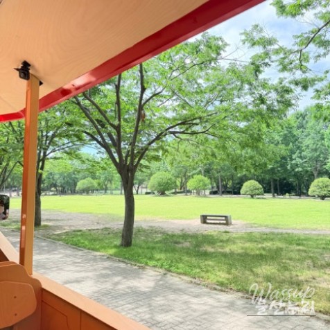 Exploring Ulsan Grand Park with Ulsan Carriage_18