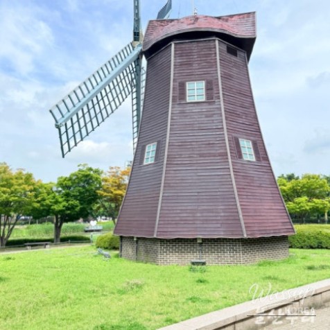 Exploring Ulsan Grand Park with Ulsan Carriage_10